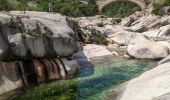 Excursión Senderismo Zonza - 2023-06-23 Balade Les trois piscines de Cavu - Photo 3