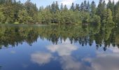 Randonnée Marche Vexaincourt - Le charme mystérieux du lac de la Maix - Photo 9