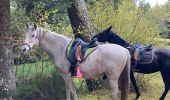 Trail Horseback riding Raon-l'Étape - Yoigo kalio la chipotte étang de saint-rémy - Photo 6