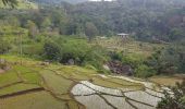 Tour Wandern Bandarawela - Sri-10 Bandarawela  - Iddalgasinne - Bambarakanda - Lyangahawela - Photo 8