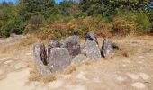 Tour Wandern Tréhorenteuc - Broceliande - Photo 1