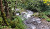 Tocht Stappen Ax-les-Thermes - Chemin de Runac - Photo 4