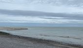 Trail Electric bike Cayeux-sur-Mer - La pointe du hourdel et Cayeux-sur-Mer sur mer - Photo 2