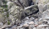 Percorso Marcia Chamonix-Mont-Blanc - la Fregere - Lac blanc  - Photo 1