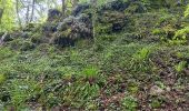 Trail Walking Hamoir - comblain la tour . xhygnesse . comblain fairon . comblain la tour - Photo 15
