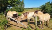 Excursión Senderismo Bièvre - Balade à Bellefontaine - Bièvre - Photo 15