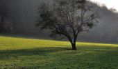 Tour Zu Fuß Durbuy - Chemin Touristique (20) - Photo 3