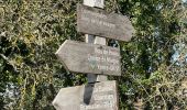 Trail Walking Courmes - Courmes  - Photo 10