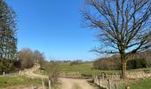 Tour Wandern Neufchâteau - Neufchateau 25 km - Photo 3