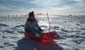 Tocht Stappen Lepuix - Lola & Ballon d'Alsace - Photo 3