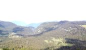 Percorso A piedi Livet-et-Gavet - Lac Fourchu (14 juillet 2020) - Photo 4