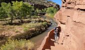 Tocht Stappen Unknown - 2024 Capitol Reef Hickman Bridge - Photo 16