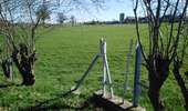 Trail Walking Dalhem - dalhem - Balade 5 - feneur  - Photo 12
