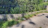 Tocht Mountainbike Morestel - morestel pont d'evieux - Photo 1