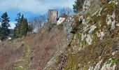 Tour Zu Fuß Hornberg - Hornberg - Bäracker - Photo 2