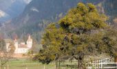Tour Zu Fuß Landquart - Ganda - Igis - Photo 7