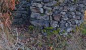 Excursión Senderismo Châteaugay - Plateau des Cluzelles et Champ Griaud - Photo 1