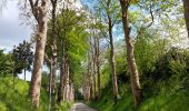 Trail Walking Mont-Saint-Guibert - promenade de la ferme Dedobeleer et du moulin. - Photo 2