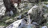 Randonnée Marche Brizon - BARGY: SOLAISON - CENISE PAR LE MAUVAIS PAS - ROCHERS DE LESCHAUX - Photo 11