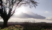 Tour Wandern Wanze - Promenade de la pierre à Moha   - Photo 4