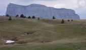 Trail Walking Saint-Agnan-en-Vercors - Le Grand Veymont - Photo 1