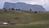 Excursión Senderismo Saint-Agnan-en-Vercors - Le Grand Veymont - Photo 1