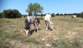 Percorso Mountainbike Remoulins - Remoulins - Pont du Gards - Photo 1