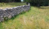 Excursión Senderismo Prémanon - col de la porte et de la Dole - Photo 14