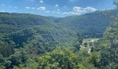 Tour Wandern Kiischpelt - Escapardenne Eisleck Trail: Kautenbach - Clervaux - Photo 11