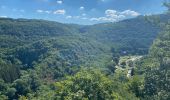 Randonnée Marche Kiischpelt - Escapardenne Eisleck Trail: Kautenbach - Clervaux - Photo 11