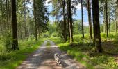 Trail Walking Neufchâteau - Tronquoy - Respelt - Photo 5