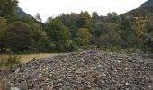 Tour Wandern Le Lauzet-Ubaye - La Roche - Roche Rousse Taïga - Photo 2