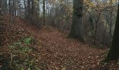 Trail Walking Trooz - Forêt de l’autre côté  - Photo 3