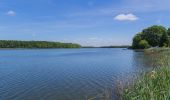 Tour Zu Fuß Märkische Heide - Wanderweg Dürrenhofe-Krugau-Groß Leuthen - Photo 3