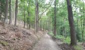 Tour Wandern Stablo - rando de la truite : stavelot . challes . warche . chevaufosse . challes . stavelot - Photo 13