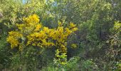 Trail Walking Sainte-Anastasie-sur-Issole - Saint Quinis - Ste Anastasie - Photo 3