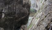 Trail Walking La Palud-sur-Verdon - Sentier Blanc Martel - Photo 1