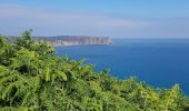 Tour Wandern Plévenon - du Fort La Latte au Cap Fréhel - Photo 2