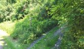 Trail Walking Houffalize - Engreux 190625 - Photo 16