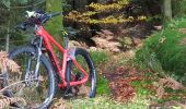 Trail Mountain bike Raon-l'Étape - sortie vtt 03112019 la trouche - Photo 4