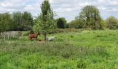 Tour Wandern Marais-Vernier - Circuit pédestre du Marais Vernier - Photo 5