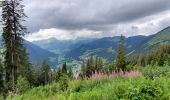 Tocht Stappen Châtel - Super Chatel vers Chatel - Photo 2