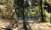 Tour Wandern Sprimont - Cascade de CHANXHE 11Km - Photo 14