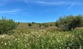 Trail Walking Saint-Chély-d'Aubrac - St Chelsy, Aubrac, Les Enfrux - Photo 5