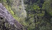 Percorso Marcia São Jorge - Levada do Rei (Rother n°30) - Photo 20