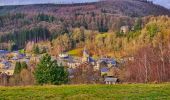 Trail Walking Vielsalm - Balade à Salmchateau - Photo 3