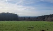 Trail Walking La Roche-en-Ardenne - rando samrée 19-03-2024 - Photo 19