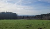 Tour Wandern La Roche-en-Ardenne - rando samrée 19-03-2024 - Photo 19