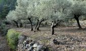 Excursión Senderismo Le Val - Trace_Le_Val - Photo 14