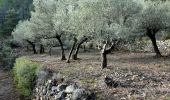 Trail Walking Le Val - Trace_Le_Val - Photo 14